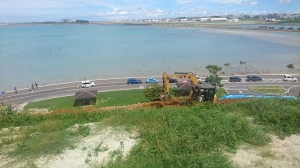 DSC_0571 (2500x1406) (2000x1125).jpg